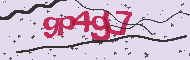 Captcha認証コード